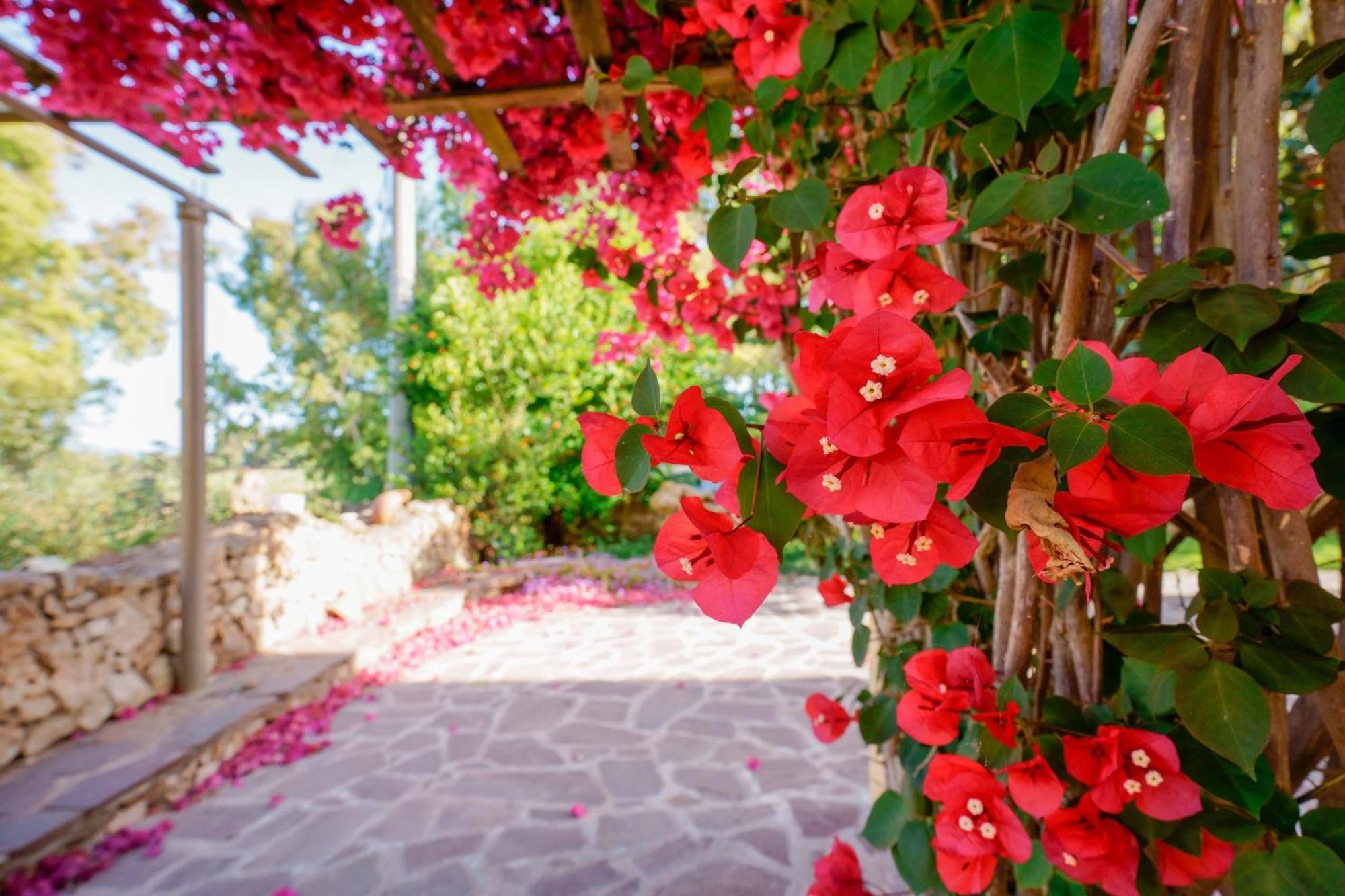 Agriturismo La Genziana Alghero Ngoại thất bức ảnh
