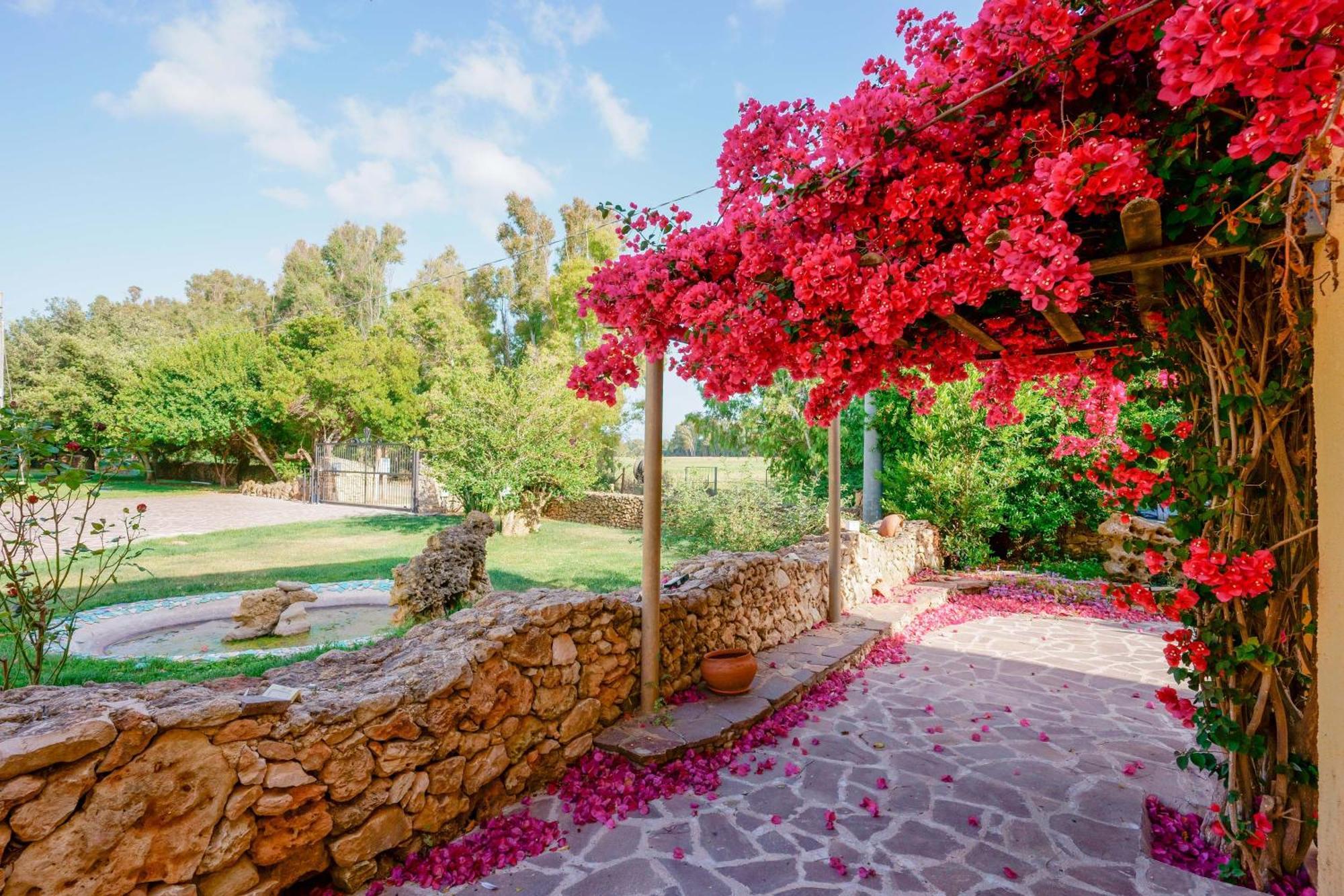 Agriturismo La Genziana Alghero Ngoại thất bức ảnh