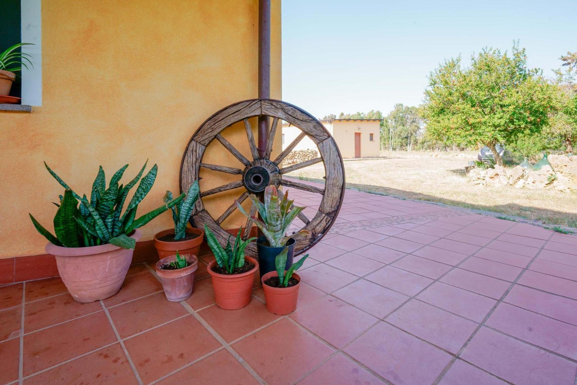 Agriturismo La Genziana Alghero Ngoại thất bức ảnh